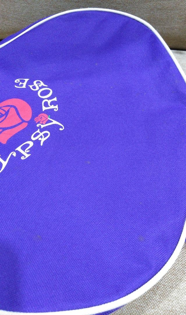 GYPSY ROSE 　ジプシーローズ　ギター　GRA1K/CPP　ケース付き