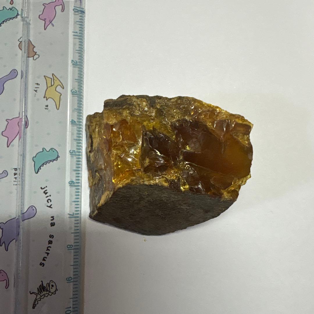 琥珀 アンバー 化石 宝石 原石 岩手県久慈産