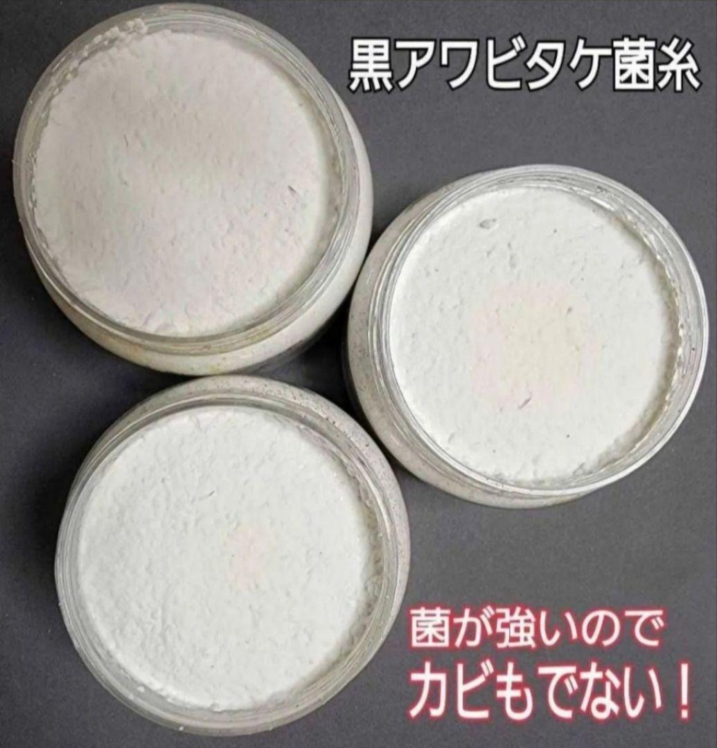 ニジイロクワガタに抜群！極上！黒アワビタケ菌糸瓶【8本】トレハロース強化配合！