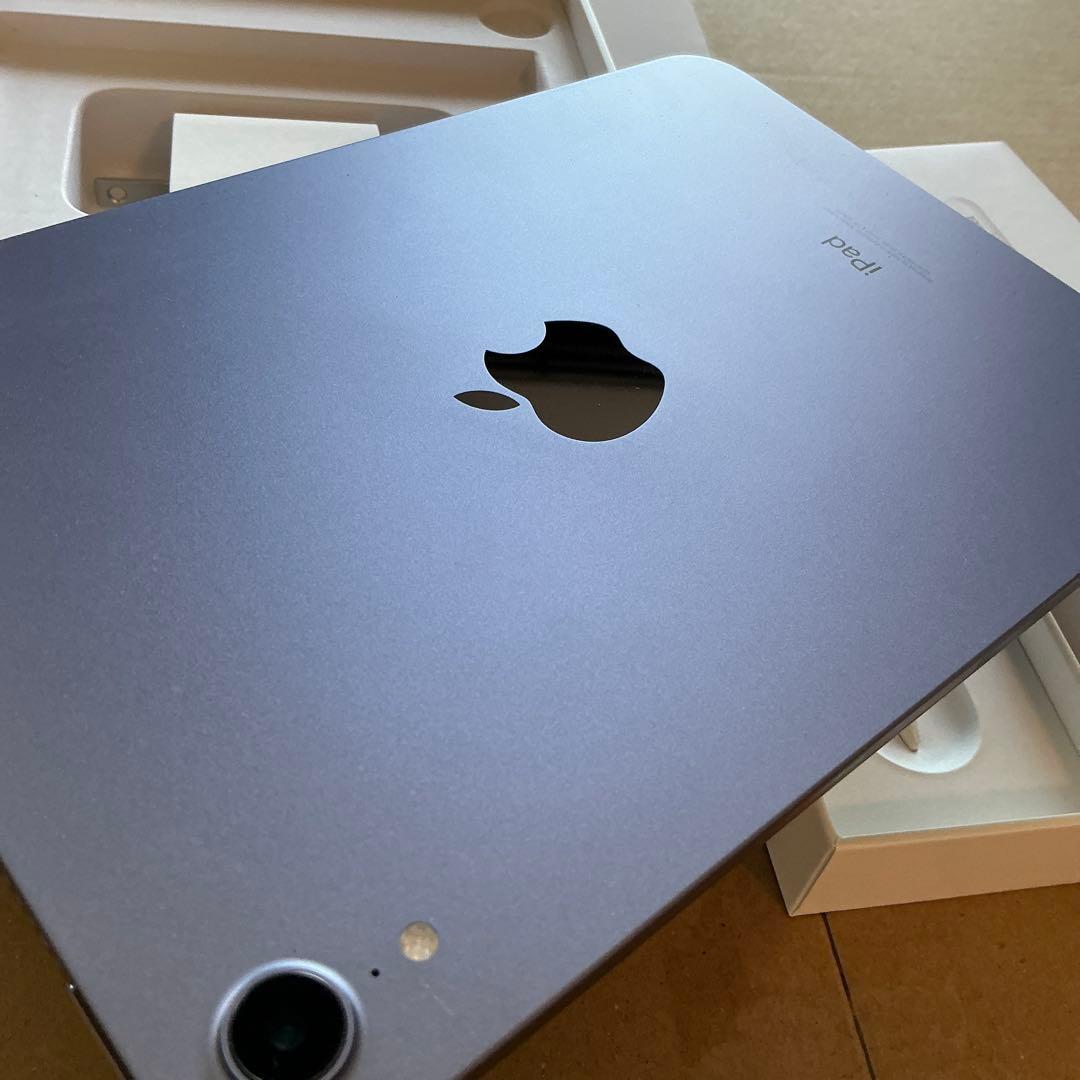 iPad mini 6+ apple pencil セット