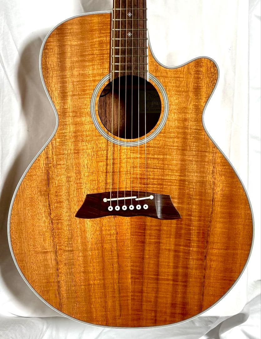 【ハワイアンコア】Takamine エレアコ PTU108K N 日本製