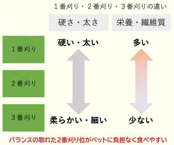 【11/30まで】US産 チモシー 50kg ２番刈り ソフトSプレミアム