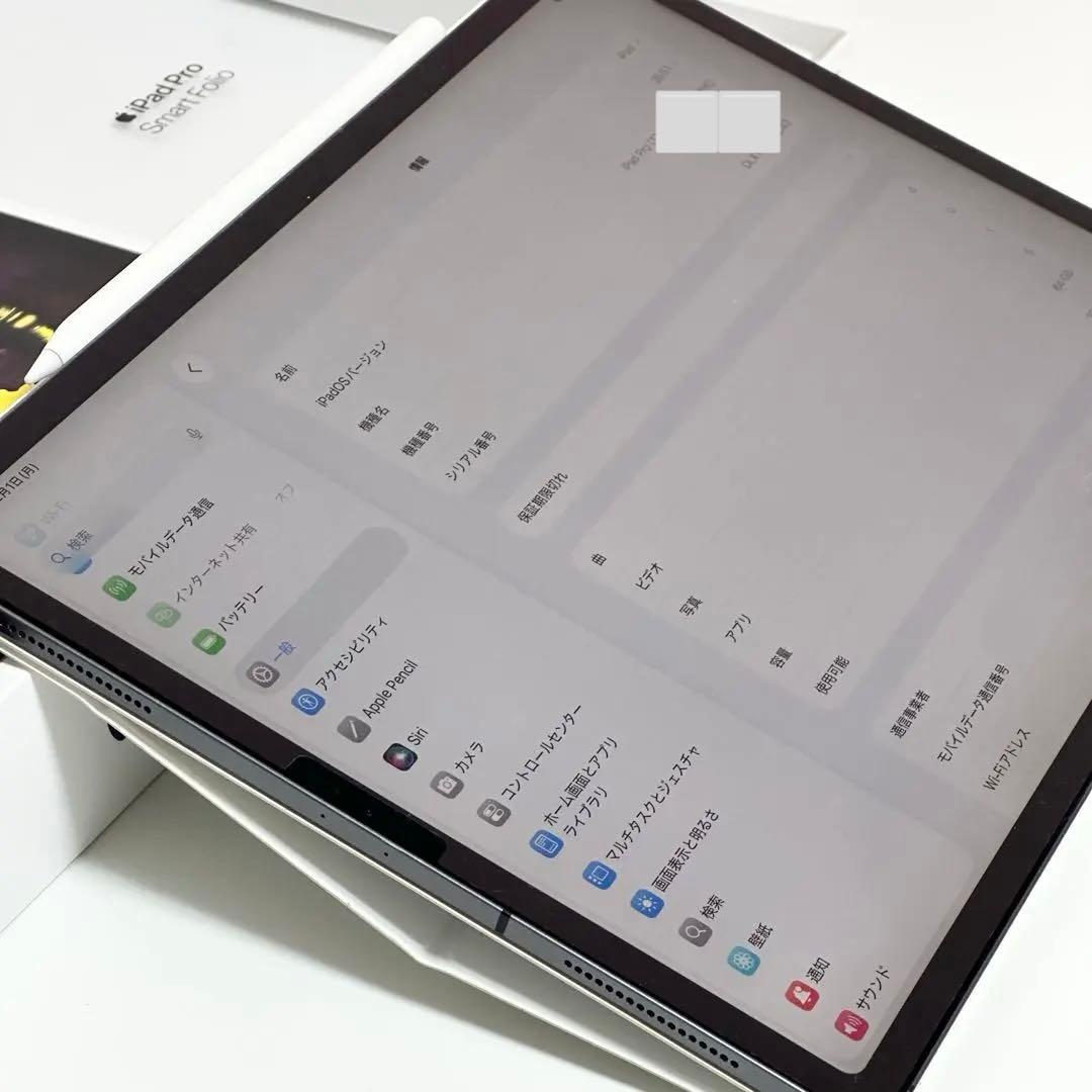 iPad Pro 12.9 第3世代 セルラー 64GB 豪華付属品完備 美品