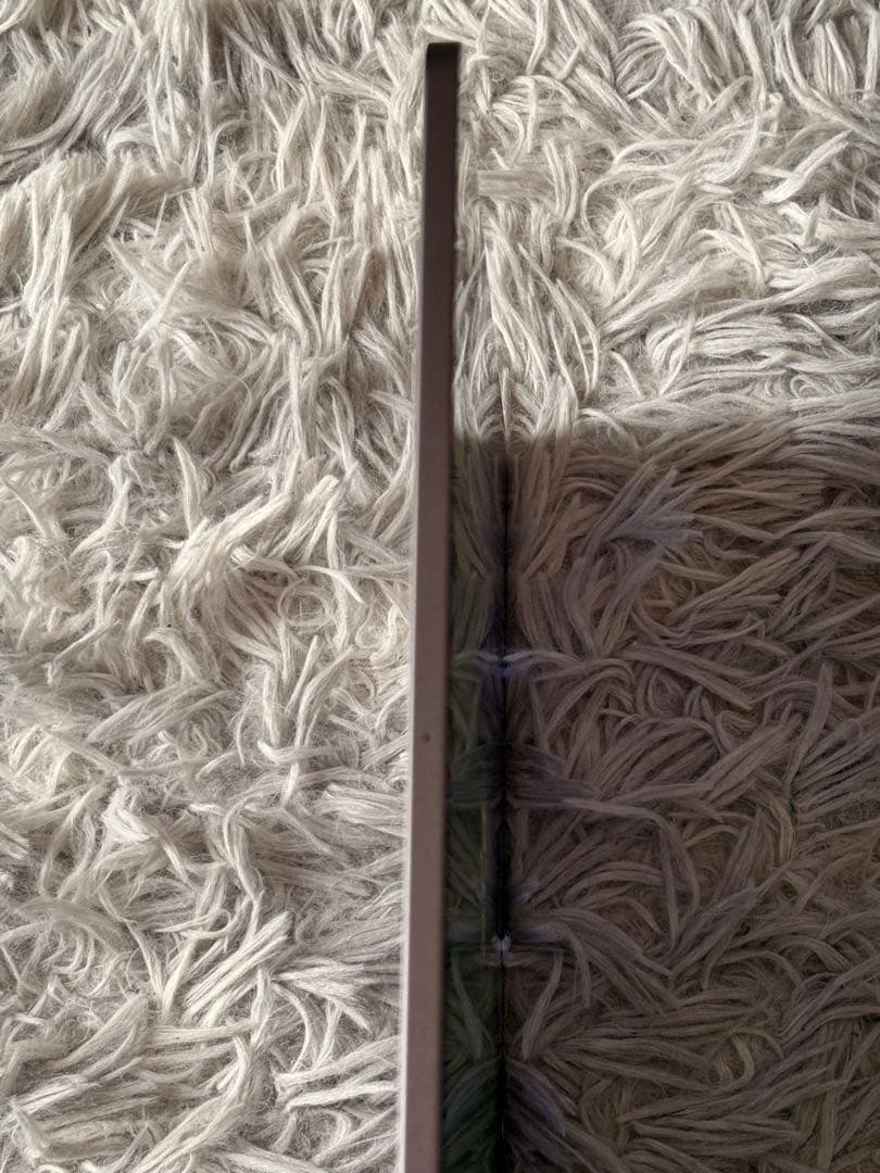 ipad pro 第1世代 256GB 11インチ バッテリー100% ＋おまけ