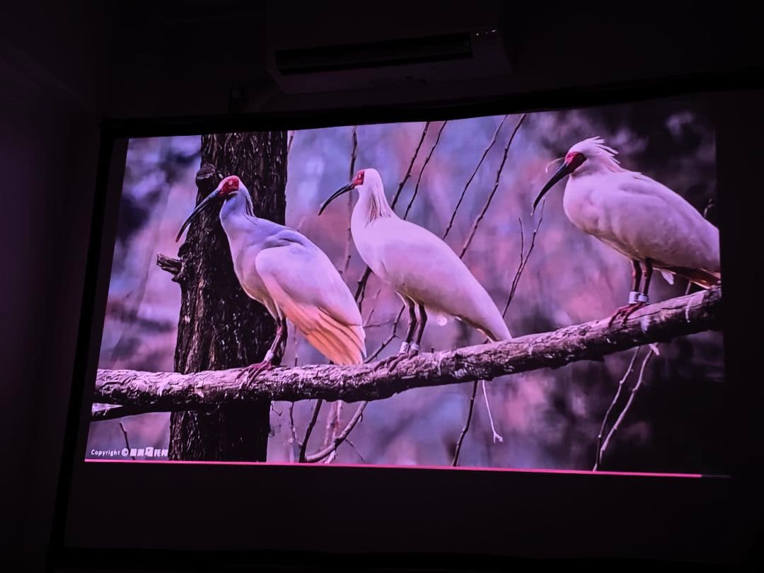 JMGO N3 ULTRA超高輝度4Kプロジェクター昼でも明るい!