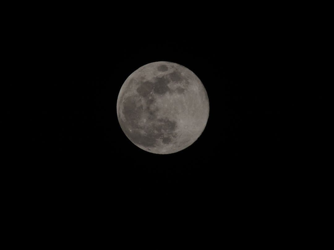 動作確認済　Nikon COOLPIX P510 デジタルカメラ