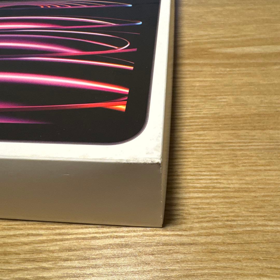 iPad Pro11インチ第4世代 ApplePencil 第2世代替芯 セット