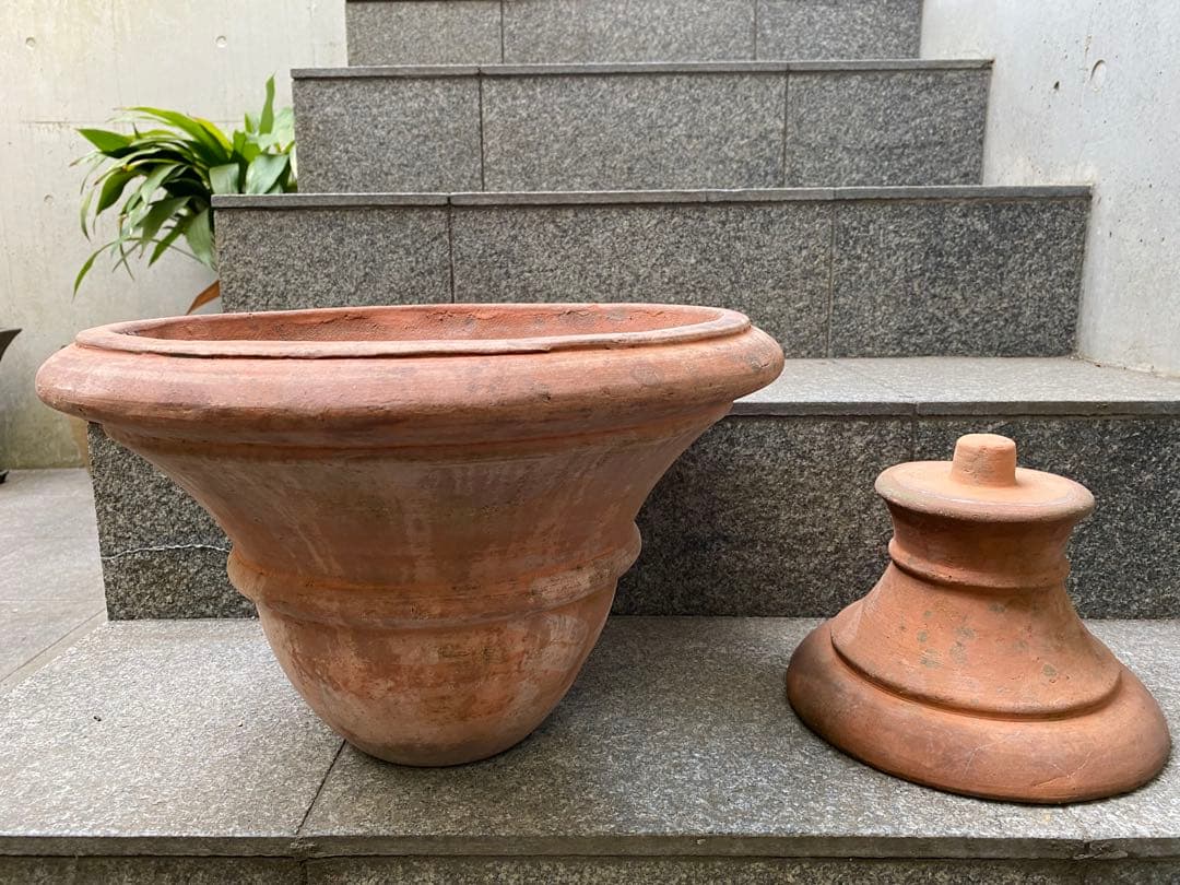 テラコッタ大型植木鉢