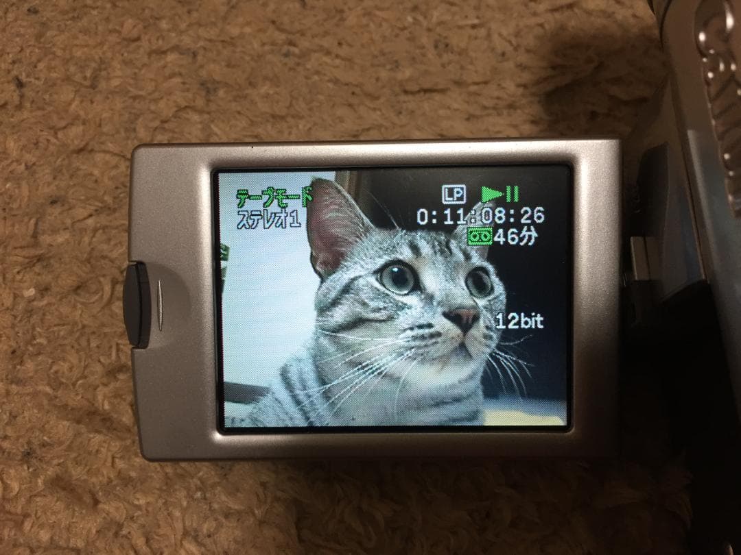 美品 撮影再生ダビングOK　Canon　DM-FV M20　付属品有　液晶綺麗