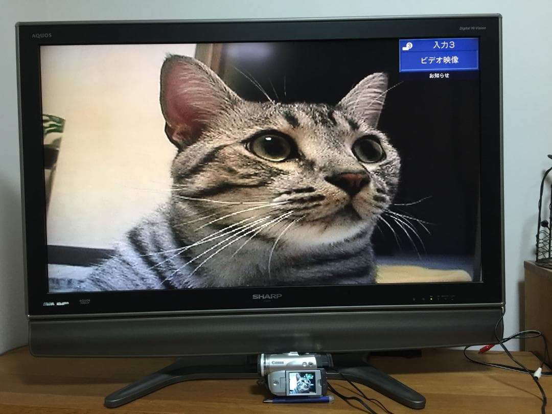 美品 撮影再生ダビングOK　Canon　DM-FV M20　付属品有　液晶綺麗