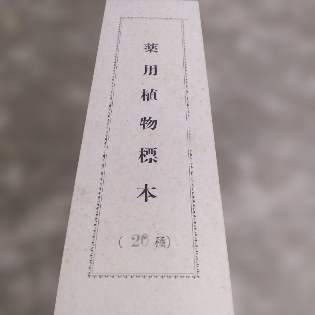 珍品　計39枚　薬用植物標本 　海藻植物標本　コレクション　アンティーク
