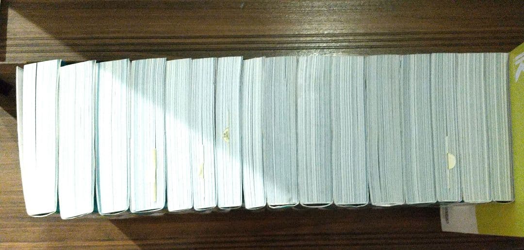 2024-2025 公務員試験 過去問解きまくり16冊マスター18冊　おまけ付き