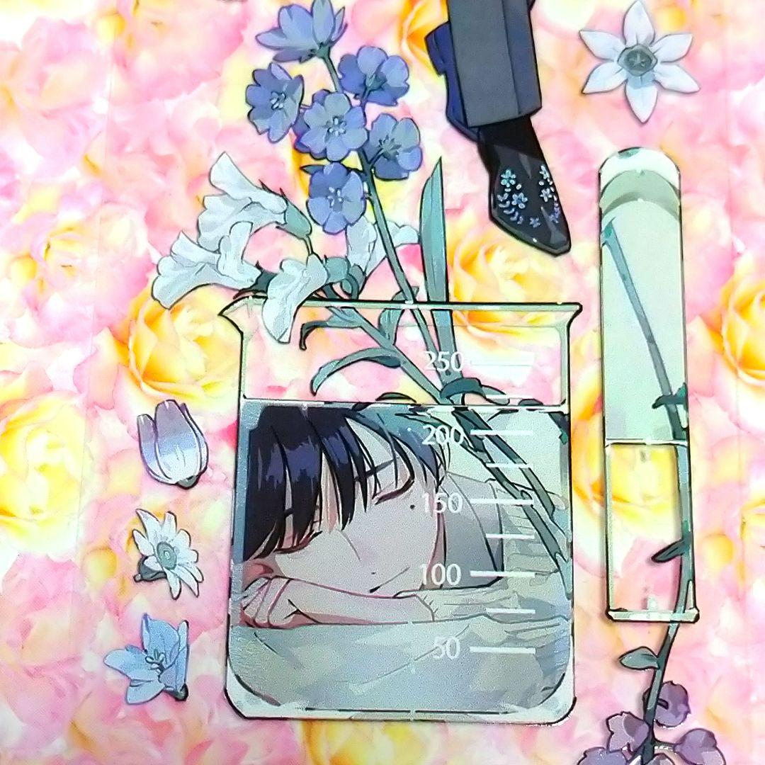 ✩のこり２✩J638＃花鸟风月(PET)野葵切り売り海外人物マステ男の子