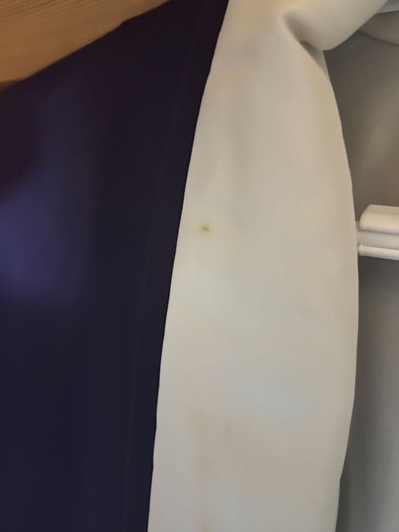 振袖 (振袖、帯のみ) 値下げ可