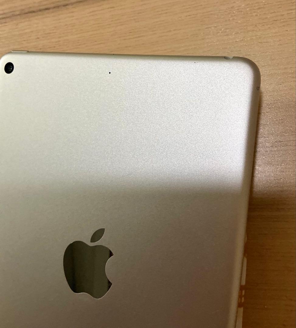 Apple iPad mini 第5世代　256GB本体のみ