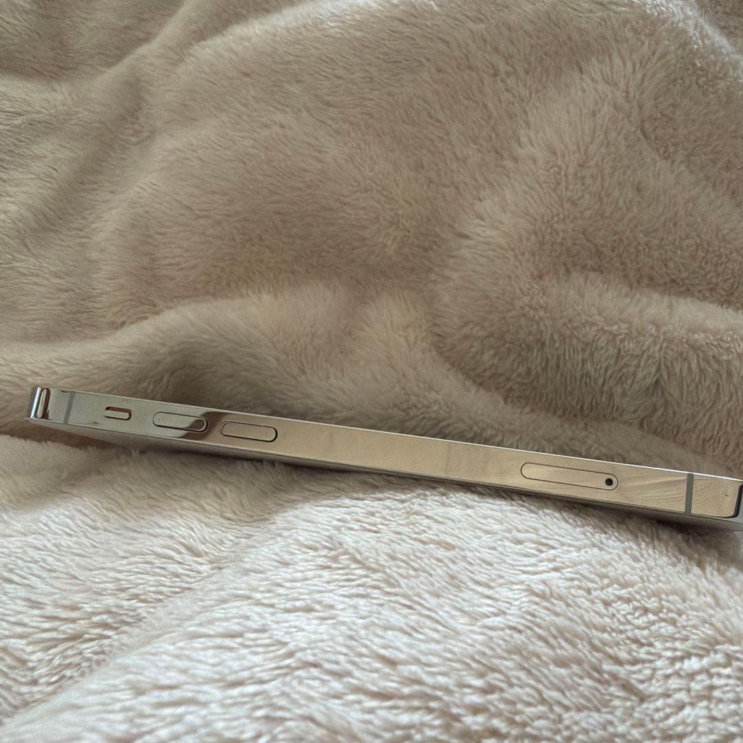 北*ん様 Apple iPhone 12Pro シルバー 本体 SIMフリー