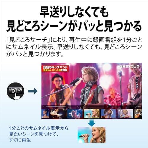 シャープ ブルーレイディスクレコーダー 2B-C10GW1 AQUOS ブルー*