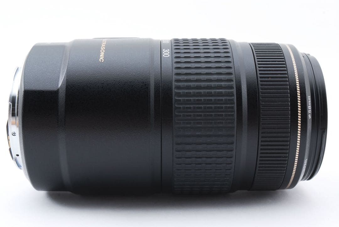 高性能手ブレ補正付きCANON EF 75-300㎜ F4-5.6 IS USM