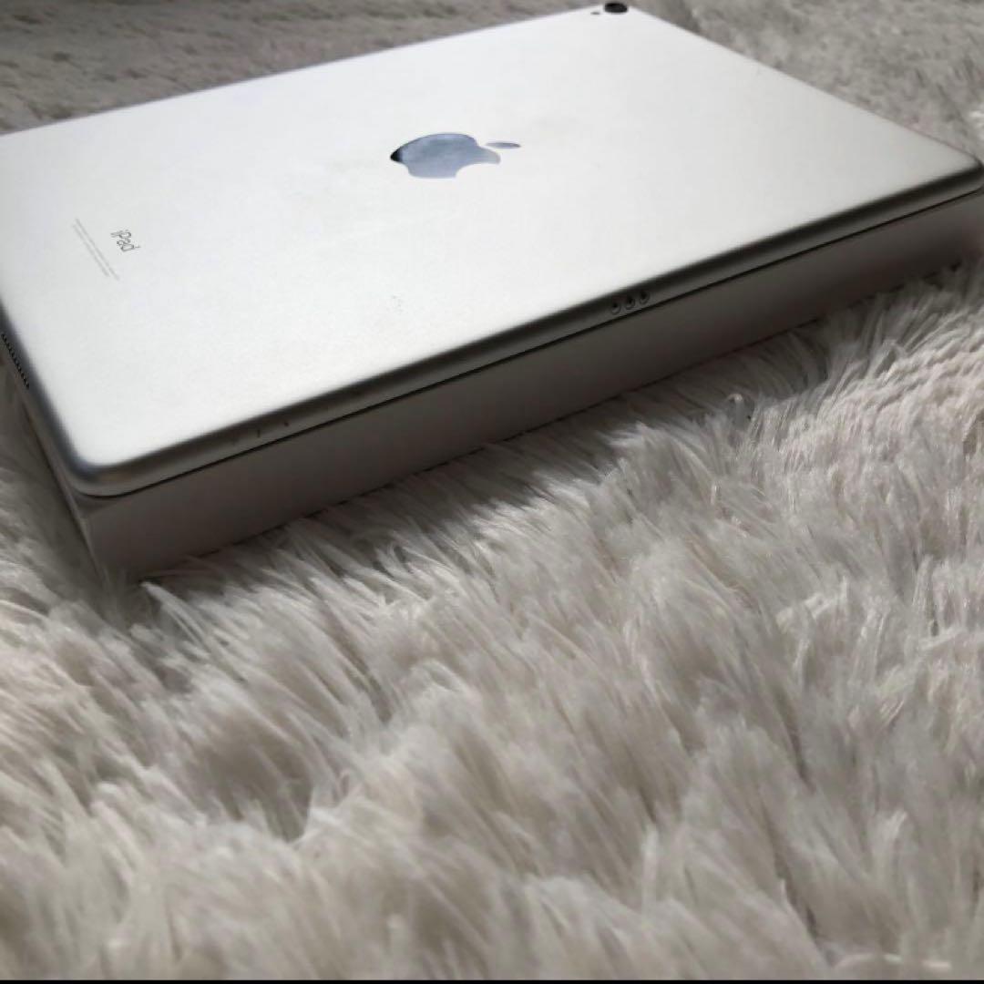 【早い者勝ち】iPad Pro 10.5 256GB 【すぐ発送】【付属品】