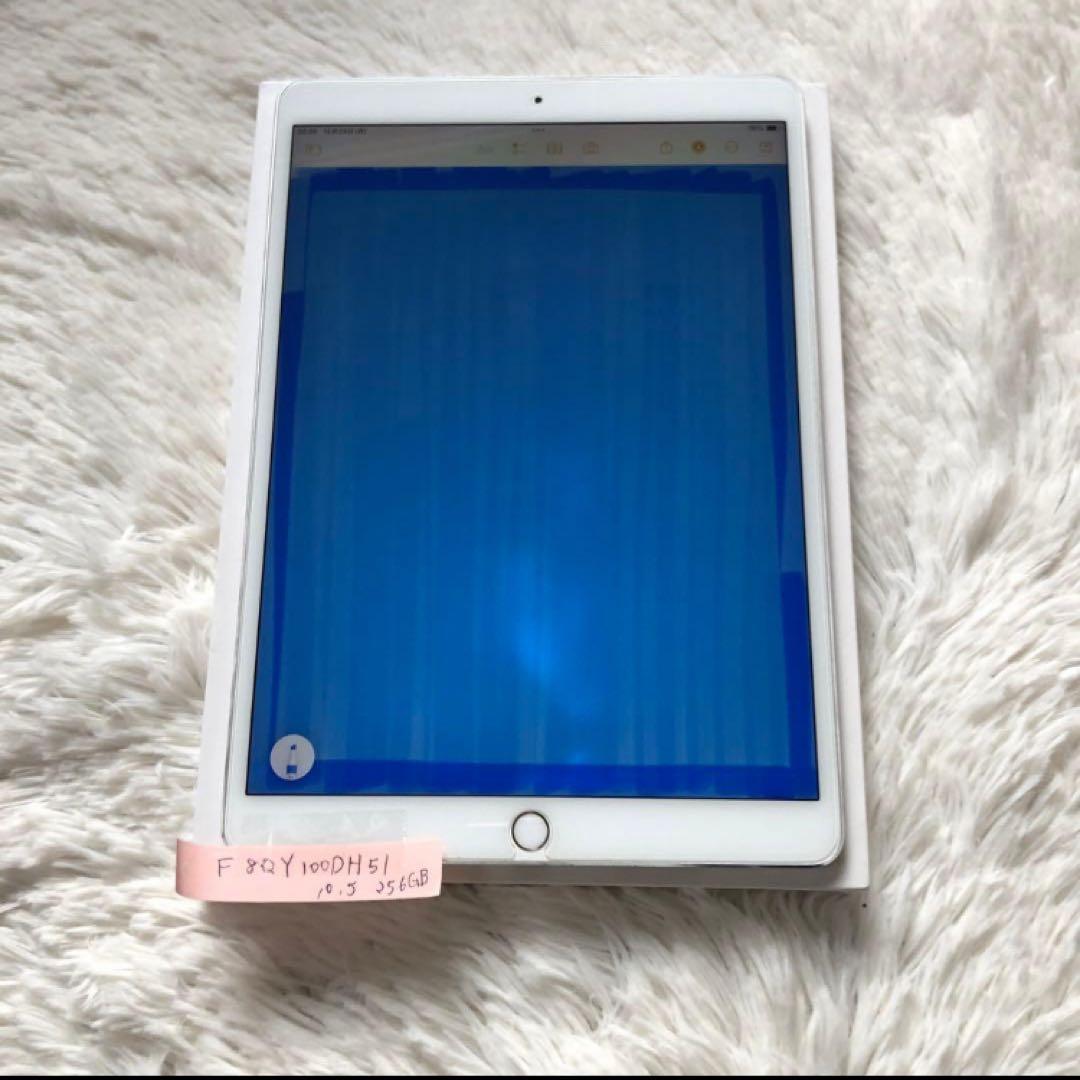 【早い者勝ち】iPad Pro 10.5 256GB 【すぐ発送】【付属品】