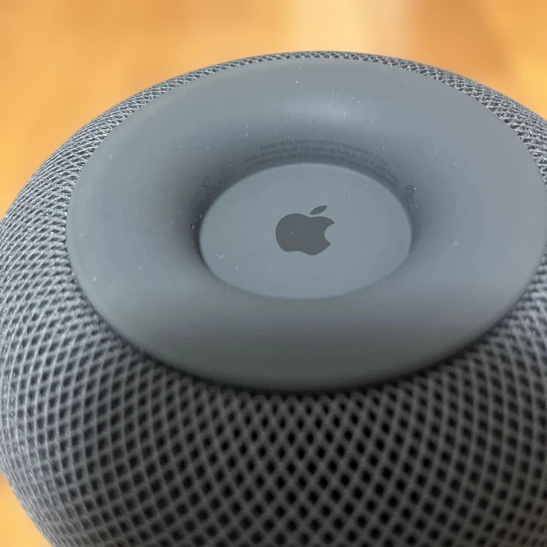 Apple Pod 第1世代　スペースグレー