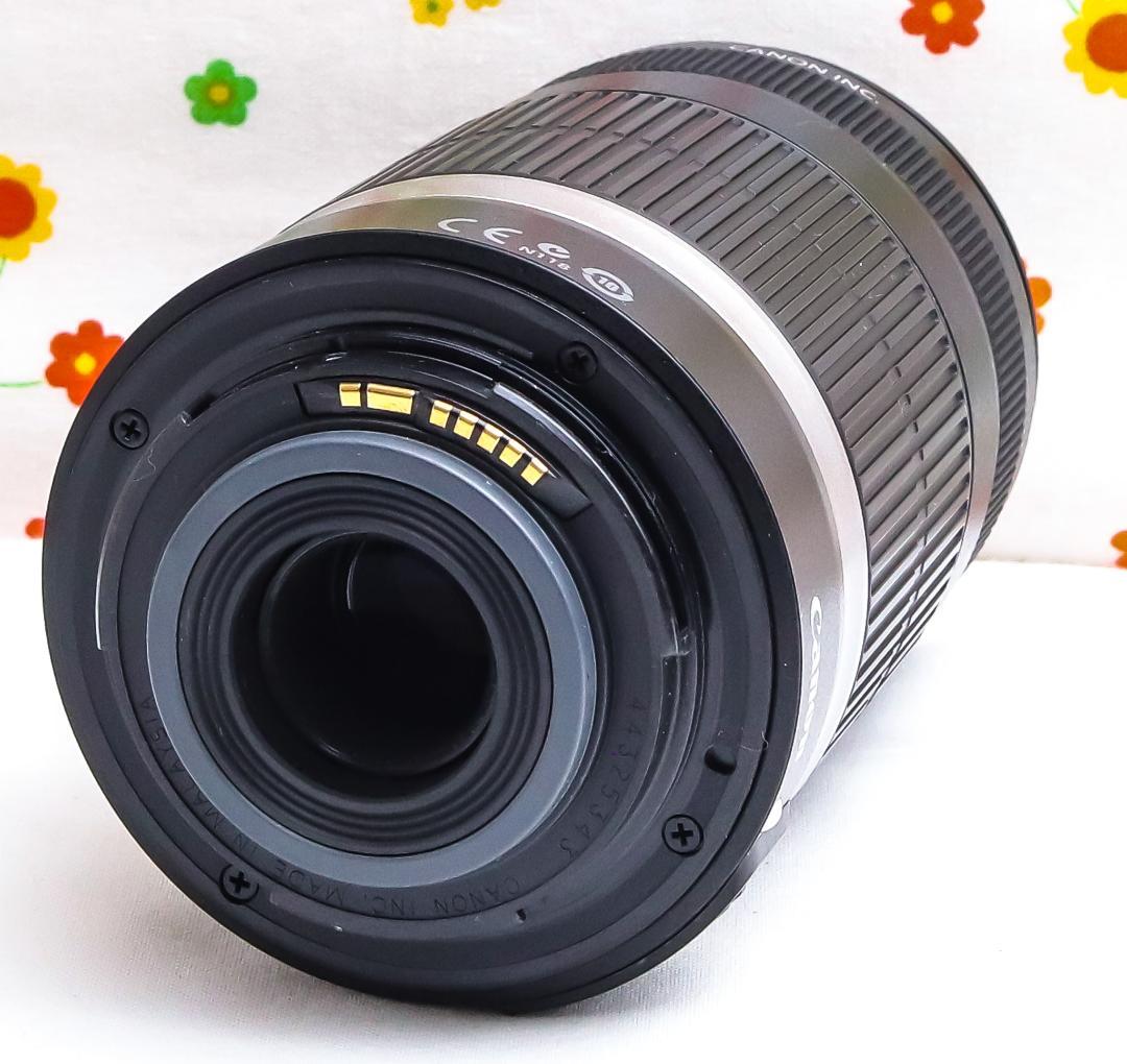 チョコレート　プロフ必読 Canon 55-250mmマウントアダプター付