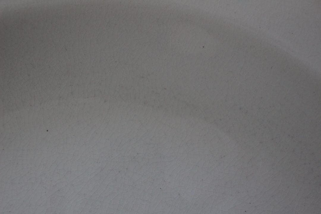 2枚セット　D・サルグミンヌ 花リムアイボリー25cm