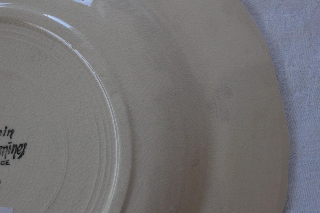 2枚セット　D・サルグミンヌ 花リムアイボリー25cm