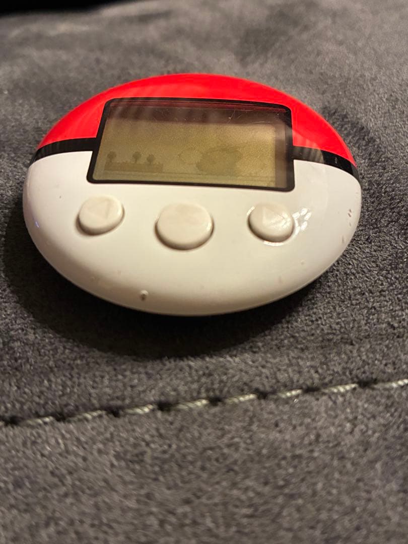 DS ポケモン　ハートゴールド　ポケウォーカー