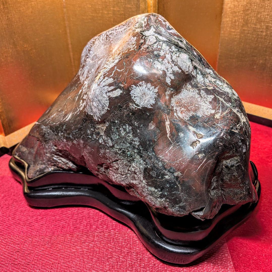 菊花石 岐阜県根尾谷産7.9㌔ 鑑賞石 観賞石 水石 盆石 天然石 鉱物
