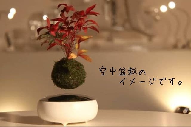 空中盆栽 air bonsai 空気の装飾 磁気浮上 磁力台座 空飛ぶ盆栽 浮く