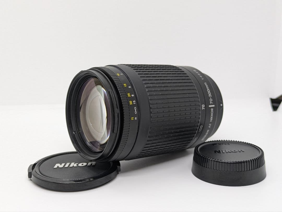 1月20日限定販売♪【超お得】Nikon D70 ダブルズームキット