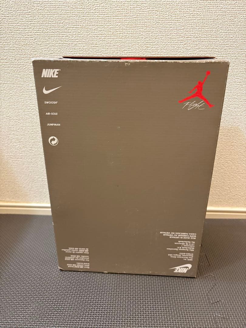 AIR JORDAN 4 \"TAUPE HAZE\" トープヘイズ27cm