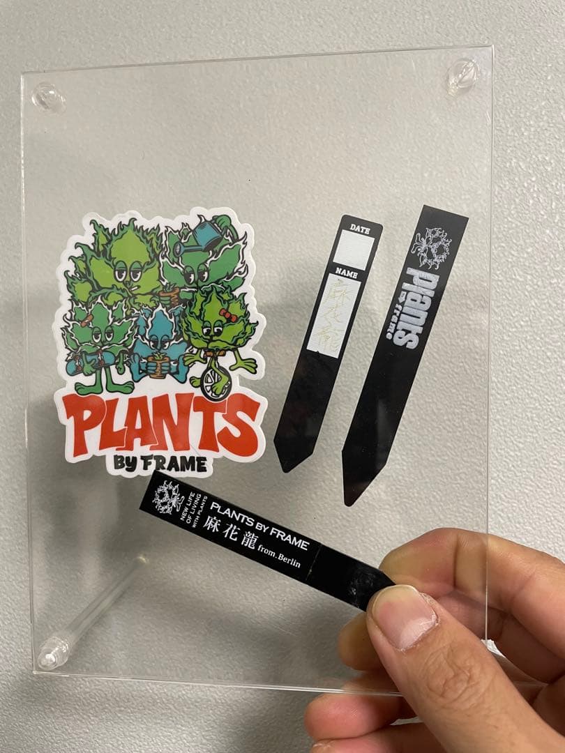 アガベ 麻花龍　ming