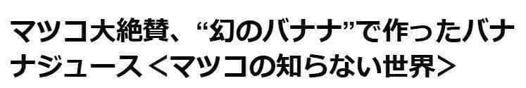 200㎝★幻の、ゴールデンブラジル。バナナ苗★耐寒強く低木.早生で収穫早い優良種
