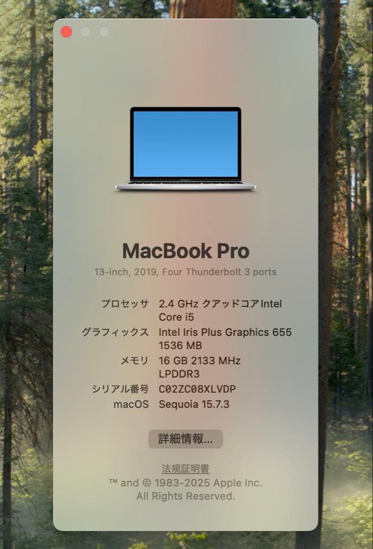 MacBook本体 Apple MacBook Pro 13 2019 i5/16GB/500Gb