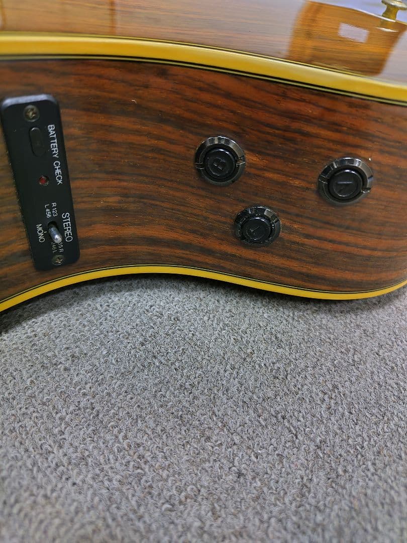 YAMAHA APX20TS アコースティック(エレアコ)ギター,ハードケース付