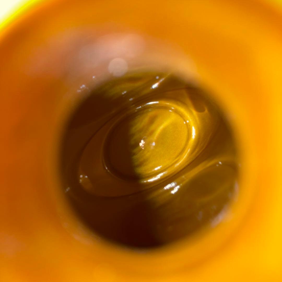 ポラロイドカメラ ジャンク品