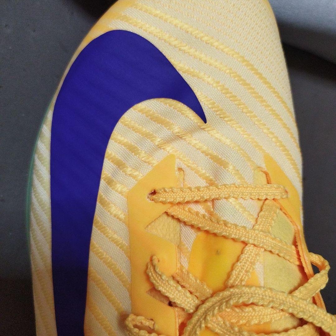 専用中 Nike zoom maxfly 2 28.5cm