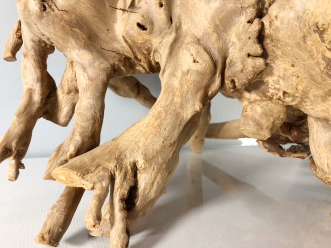 アクアリウム 流木 インテリア