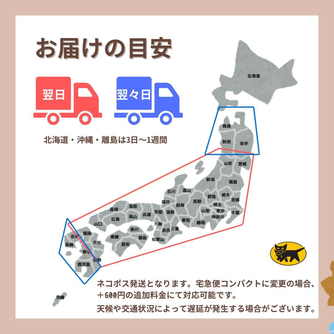 B 100% iPhone SE2 128 GB SIMフリー ブラック 本体