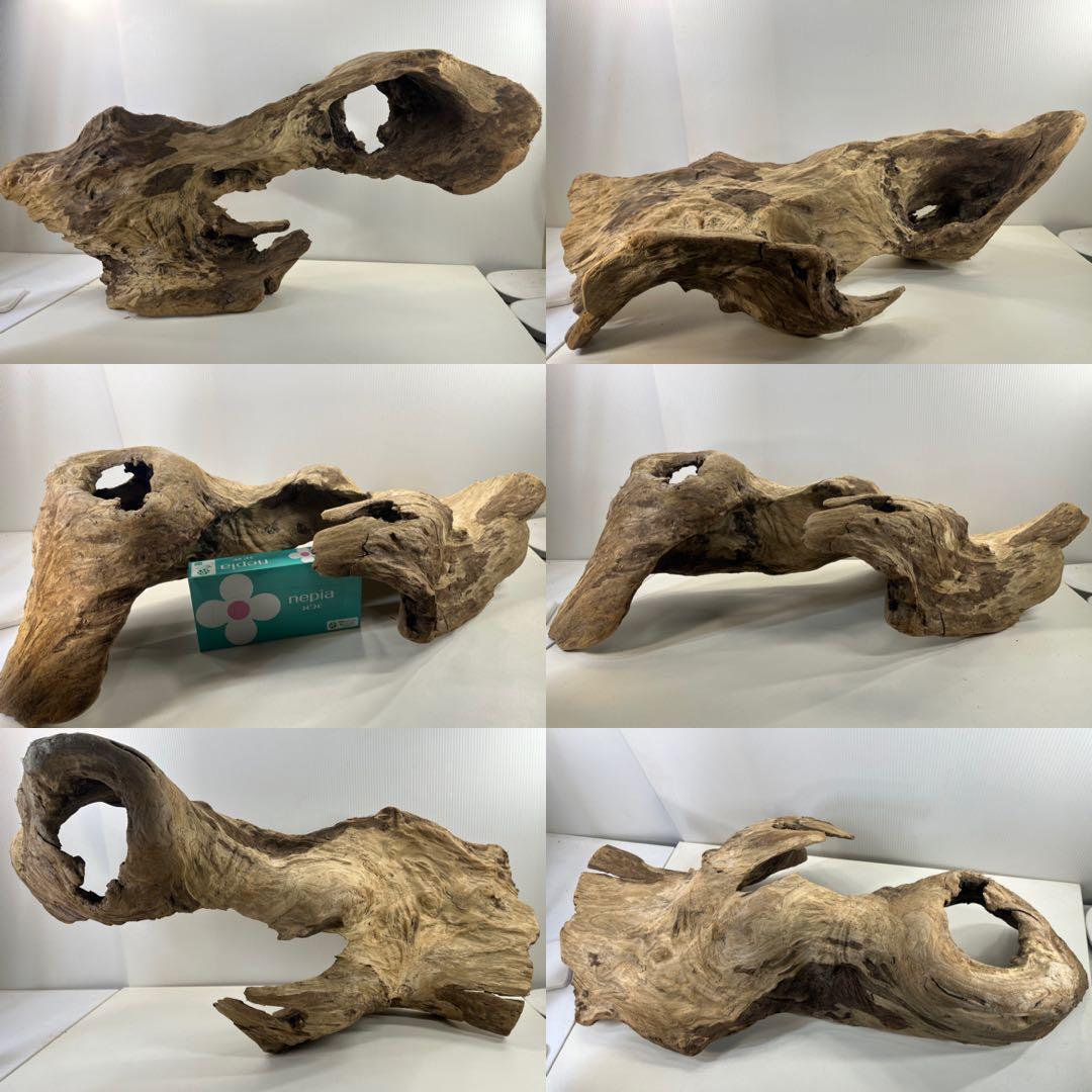 m61特大流木 アク抜き済み 爬虫類シェルター レイアウト用 登り木 インテリア