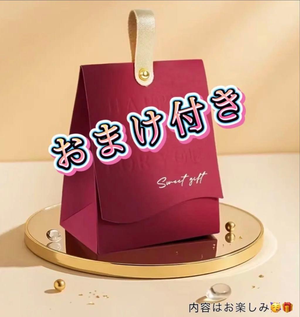 Apple AirPods Pro 第2世代（Lightning) :動作確認済