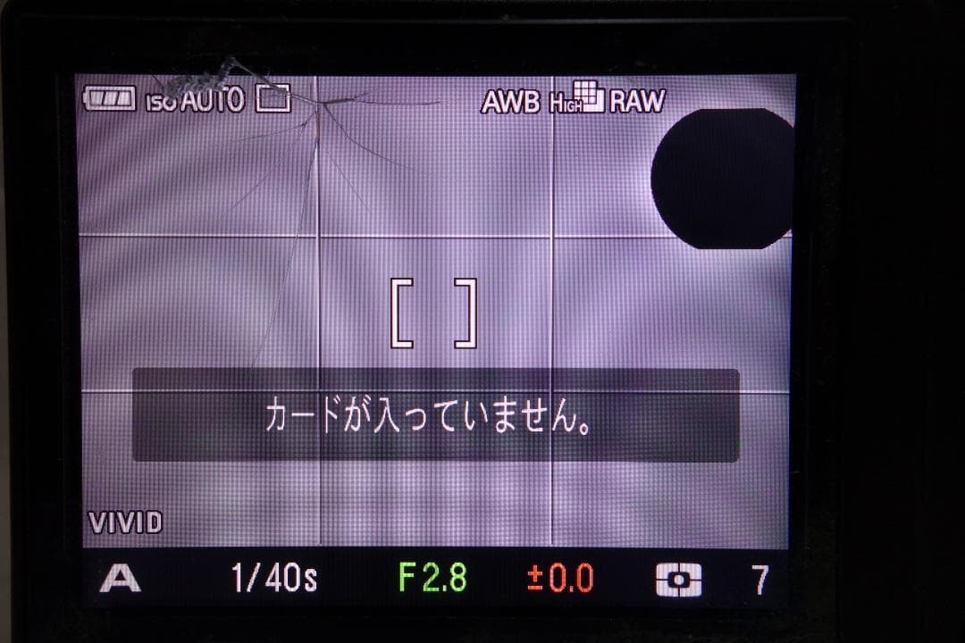 希少品 Foveon X3センサー DP2 Merrill SIGMA シグマ