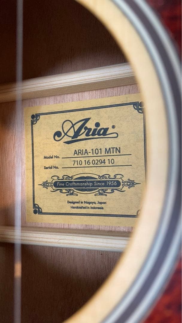 Aria アコースティックギター　ARIA-101MTN