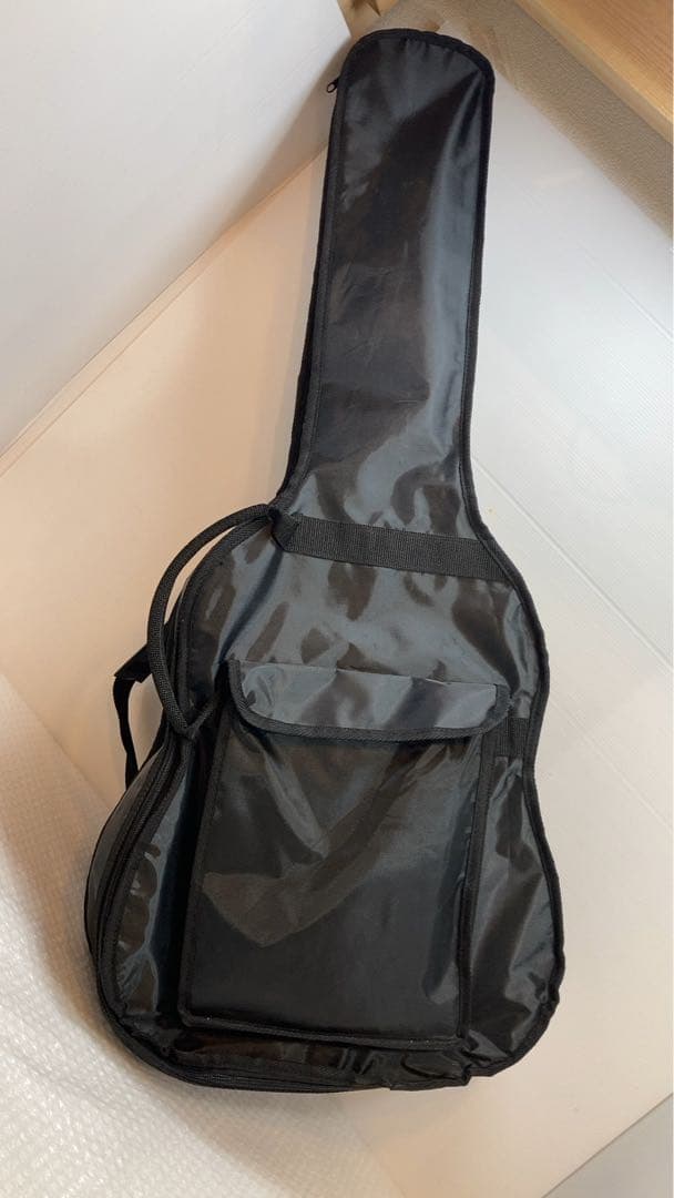 Aria アコースティックギター　ARIA-101MTN