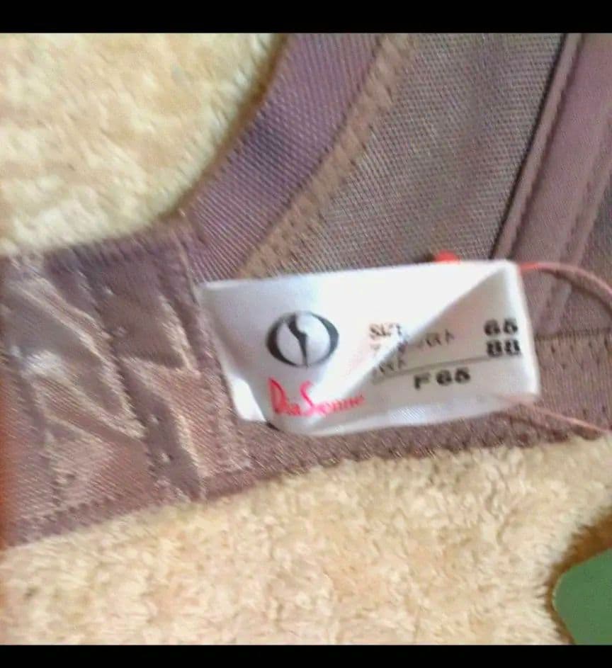 専用です！2枚のお値段です❗️ダイアナブラジャーｆ65