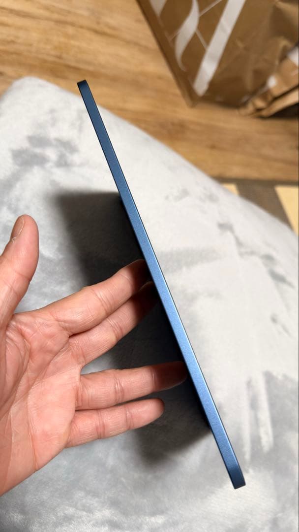 iPad本体 iPad air Wifi 256gb