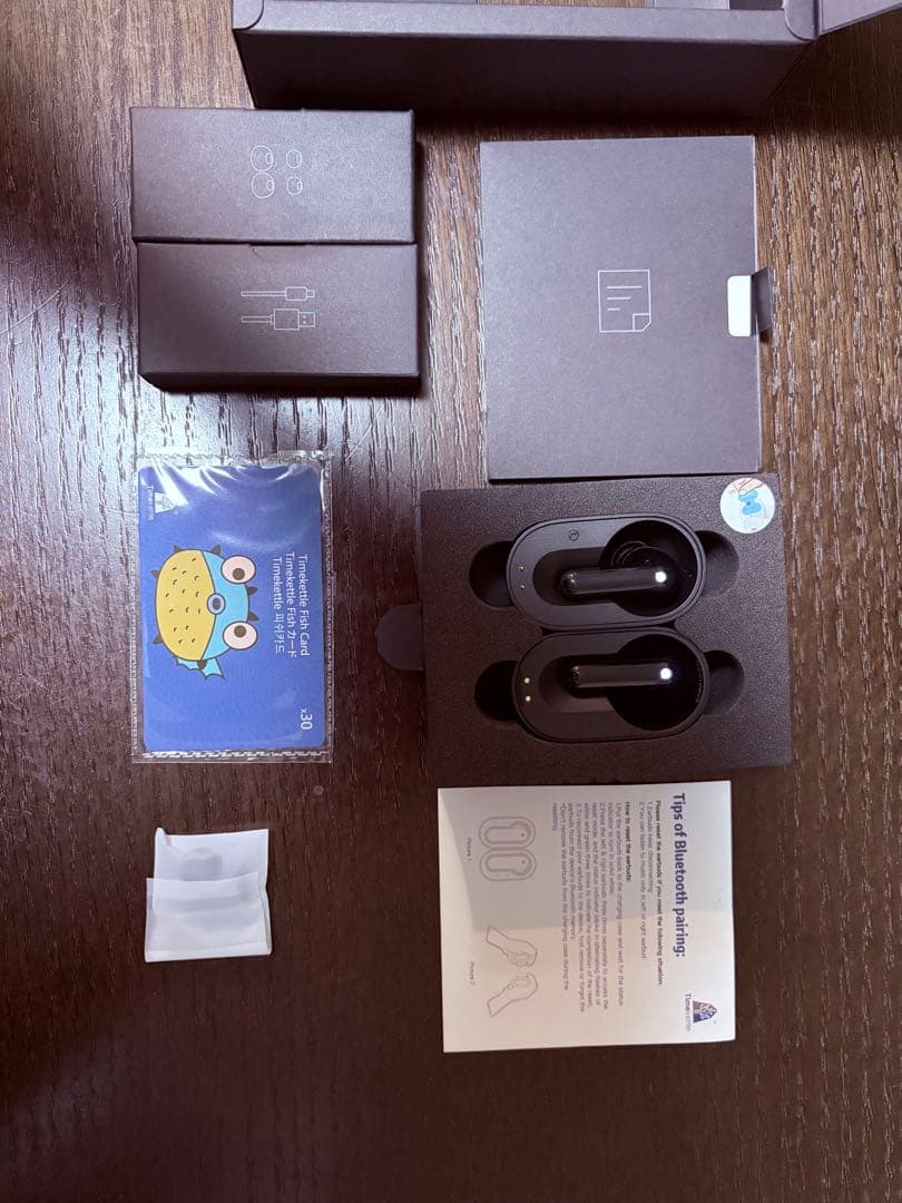 【美品】 Timekettle M3 イヤホン型翻訳機