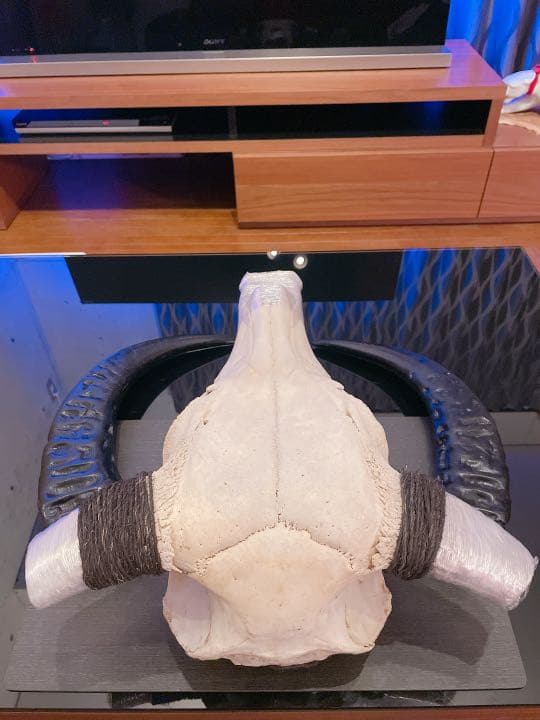 ハンティングトロフィー 【バッファロー】 【新品】